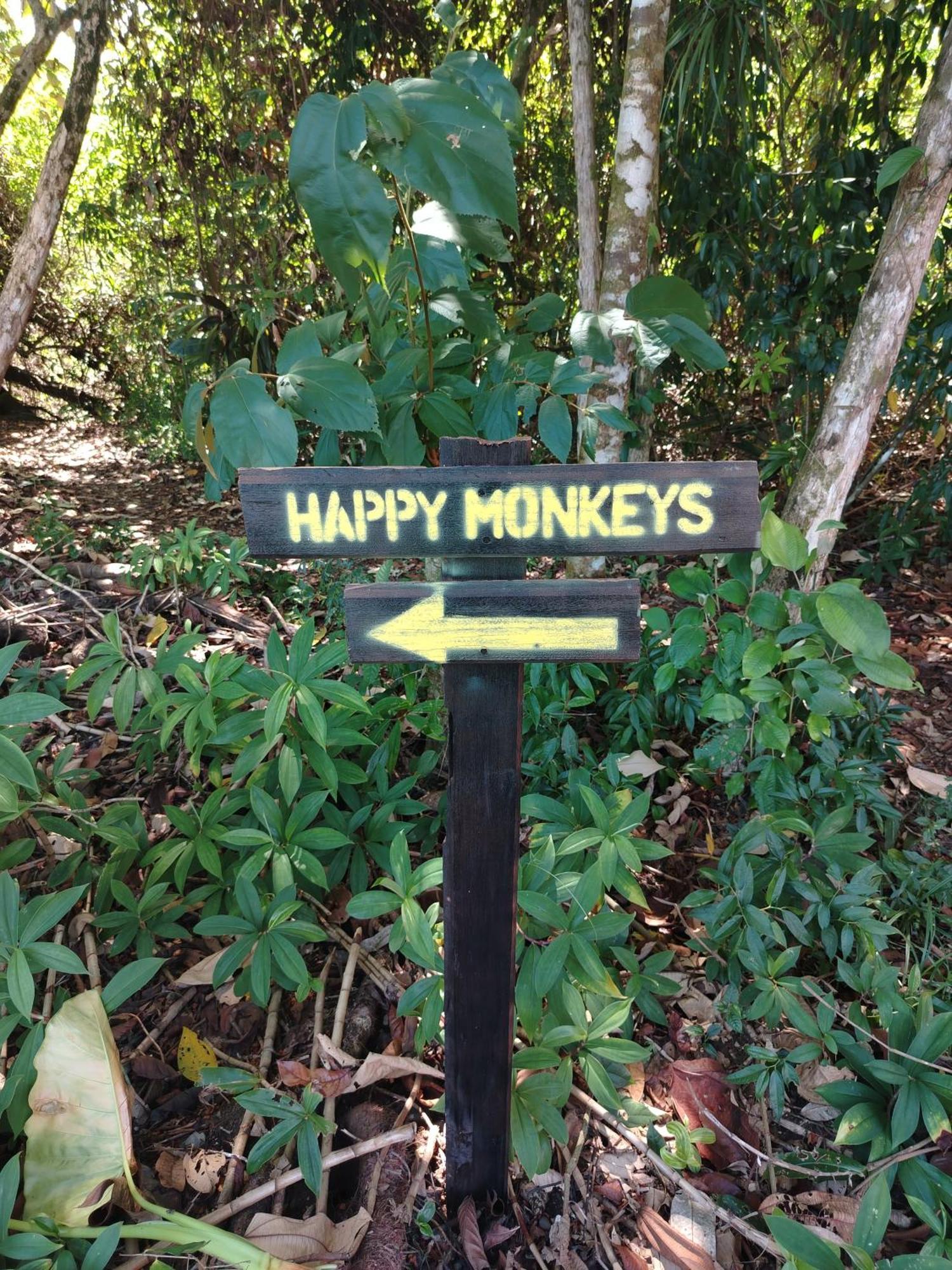 Happy Monkeys Villa ปัวร์โตคิมาเนซ ภายนอก รูปภาพ
